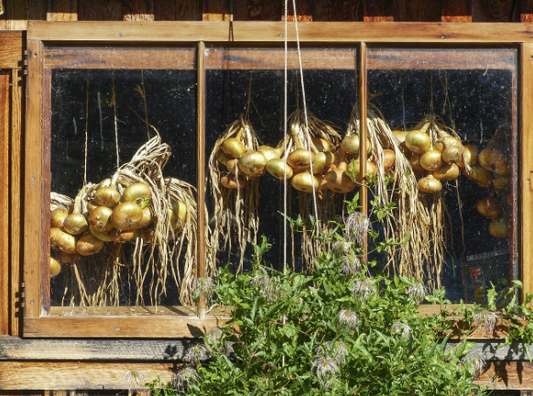 Homesteading