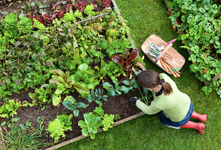 Gardening
